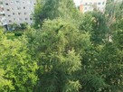 Pabianice Bugaj kupię 60-73 m2 - mieszkanie - 4