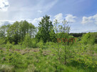 Działka budowlana Adamów-Parcel gm. Radziejowice, - 3