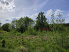 Działka budowlana Adamów-Parcel gm. Radziejowice, - 6