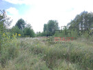 Działka budowlana Adamów-Parcel gm. Radziejowice, - 8