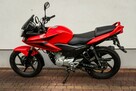 Honda CBF 125 R 2013 Raty Wysyłka TRANSPORT Największy Wybór Moto 125 w PL YBR - 6