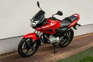 Honda CBF 125 R 2013 Raty Wysyłka TRANSPORT Największy Wybór Moto 125 w PL YBR - 7