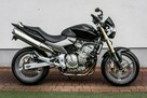Honda CB 600 R HORNET 2005 Transport Raty Największy Wybór Moto W PL - 2