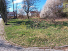 Działka budowlana Nowa Sól, Makowa - 4