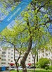 Na Sprzedaż Mieszkanie M5 64m2 Łódź Retkinia Piaski Retkińska - 8