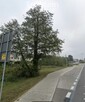 działka budowlana 3300m2 zabudowa wielorodz, Wa-wa - 3
