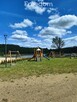 Nowoczesny Dom w Otoczeniu Natury, Brzeźno - 7