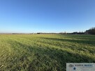 Działka inwestycyjna, 0,97ha, Powązki/Mszczonów - 7