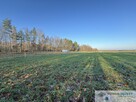 Działka inwestycyjna, 0,97ha, Powązki/Mszczonów - 12