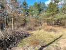 Działka inwestycyjna Józefów, Owsiana - 6