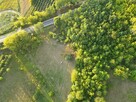 Działka rolna Nowe Miasto nad Pilicą Pobiedna - 6
