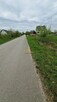 Działka Żarnów Żarnów - 5