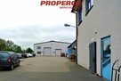 Lokal użytkowy Trzebieszów - 3
