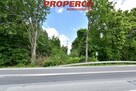 Działka Chmielnik Celiny - 7