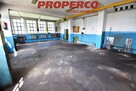 Lokal użytkowy Pińczów - 6