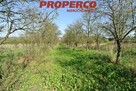 Działka Busko-Zdrój Widuchowa - 5