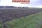 Działka Jędrzejów Borki - 1