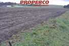 Działka Jędrzejów Borki - 4