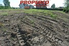 Działka Kostomłoty Pierwsze gm. Miedziana Góra - 5