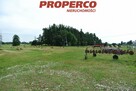 Lokal użytkowy Pierzchnianka gm. Pierzchnica - 15