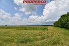Działka Sędziszów Boleścice - 5