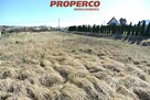 Działka Busko-Zdrój Łagiewniki - 4