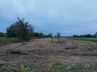 Działka nad jeziorem Tarnobrzeskim - 1