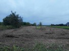 Działka nad jeziorem Tarnobrzeskim - 2