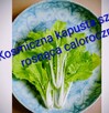 Sałaty świata i kapusty nasiona zimowe egzotyczne - 6