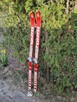 Narty Biegowe Polsport Szarotka drewniane zabytkowe PRL - 6