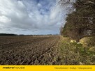 Na sprzedaż działka w wyjątkowej lokalizacji - 9