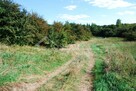Działka budowlana Snopków gm. Jastków, Snopków, gmina Jastków - 7