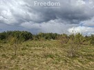 Działka 1 ha z linią brzegową Jez. Dręstwo z MPZP - 7