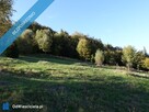 Brenna 2,53 ha pod zabudowe i domki letniskowe - 9