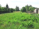 Działka budowlano-rolna 11 800 m2 m2 w gm. Radziejowice