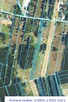 Działka budowlano-rolna 11 800 m2 m2 w gm. Radziejowice - 5