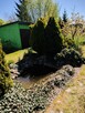 Sprzedam Działkę ROD „Pszczółka Maja” w Gnieźnie - 4