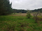 SPRZEDAM DZIAŁKĘ 15500M2 MAROZ WAPLEWO - 3