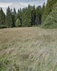 Sprzedam działkę usługową - Koniaków Istebna - 3