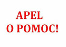 Ułożony bez nałogów szuka pracę