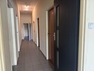 Lokal użytkowy Kielce Centrum - 10