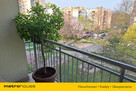 Mieszkanie 50m2, 2 pokoje, balkon Nowy Dwór - 11