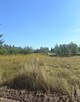 Mazurska sielanka z historią w tle – Działka -Warunki Zabudowy | Jezioro 1.8 km - 4