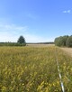 Mazurska sielanka z historią w tle – Działka -Warunki Zabudowy | Jezioro 1.8 km - 6
