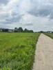 DAWIDY BANKOWE 1100m2 media i MPZP - 2