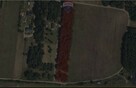 Michałów - urokliwa działka budowlana 5500 m2 - 8