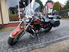 SPRZEDAM YAMAHĘ DRAGSTAR 650 - 5