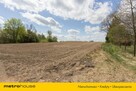 Marcelin: Teren 3,25 ha pod osiedle  MPZP i Media - 2
