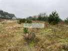 Bojano - Wiczlino,działki budowlane - 2