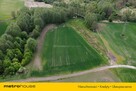 2 ha działki rolnej w zielonogórskiej Zawadzie - 3